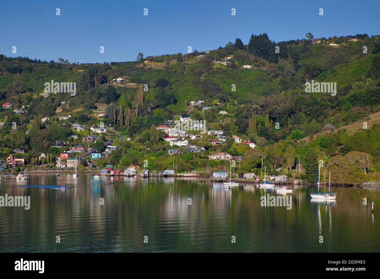 Hübsche Küste mit baumbestandenen Hügeln mit Häusern und Booten direkt vor der Küste, die sich im Meer in der Nähe von Otago Port, South Island, Neuseeland, widerspiegeln Stockfoto