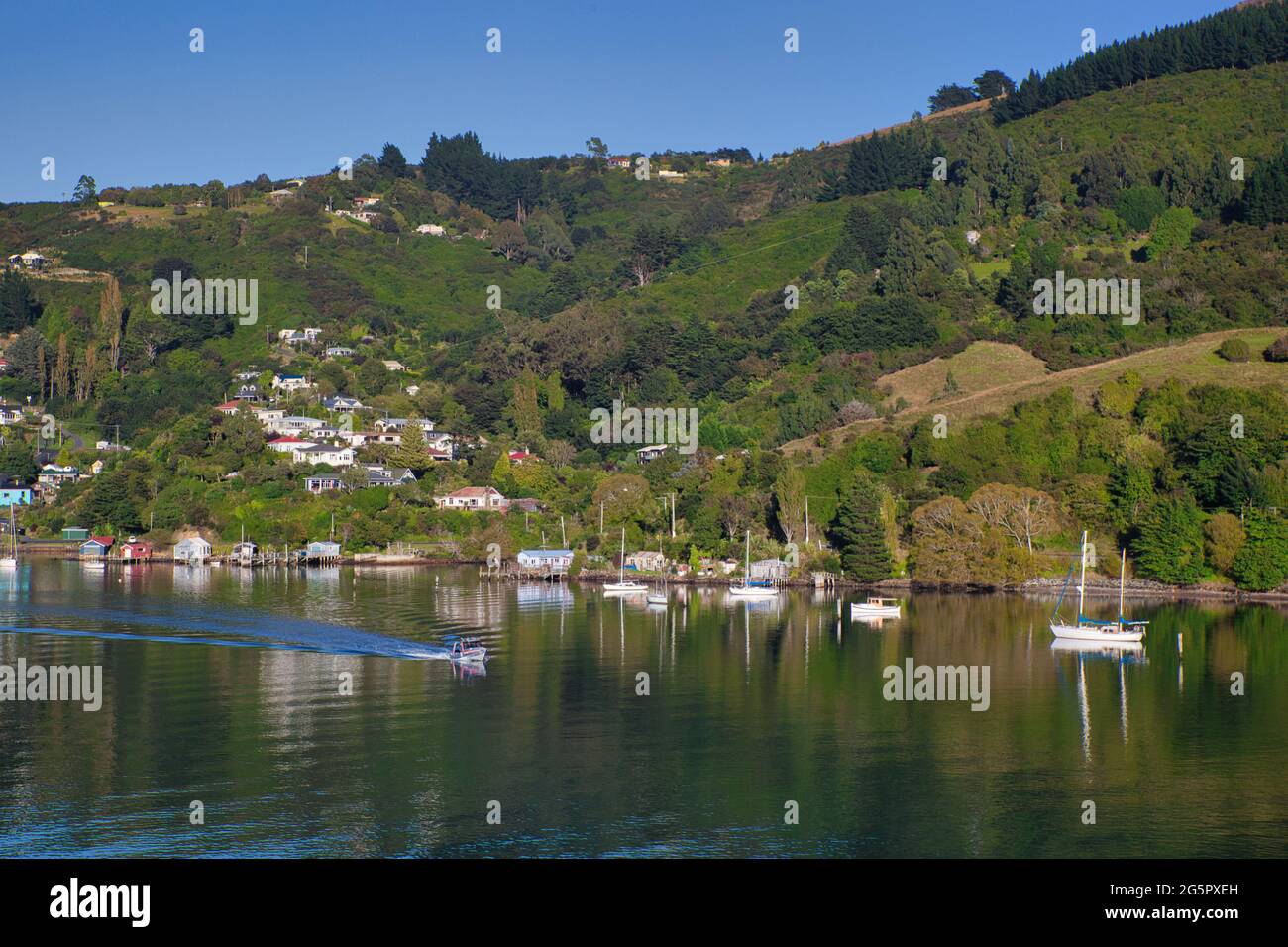 Hübsche Küste mit baumbestandenen Hügeln mit Häusern und Booten direkt vor der Küste, die sich im Meer in der Nähe von Otago Port, South Island, Neuseeland, widerspiegeln Stockfoto