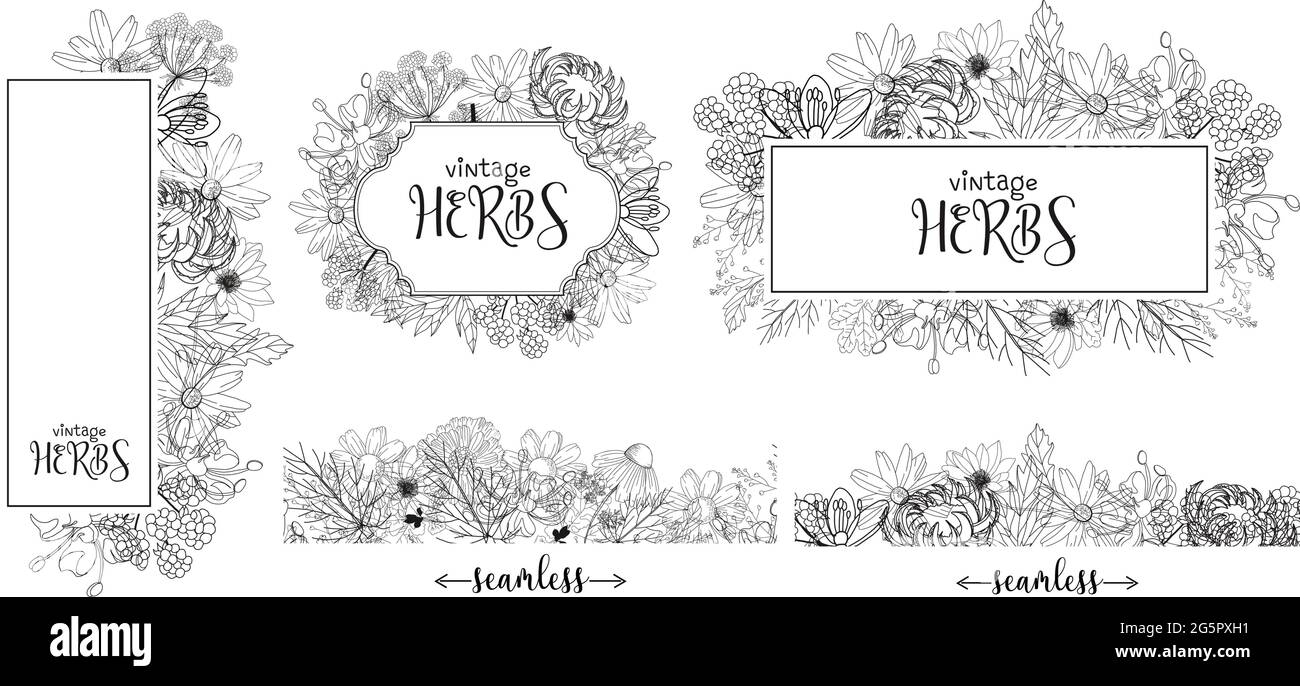 Vorlage Karte mit Heilkräutern. vektor-Vorlage. Wilde Heilpflanzen. Retro-Blumen. Abbildung der Handzeichnung. Gravurstil. Botanisch Stock Vektor