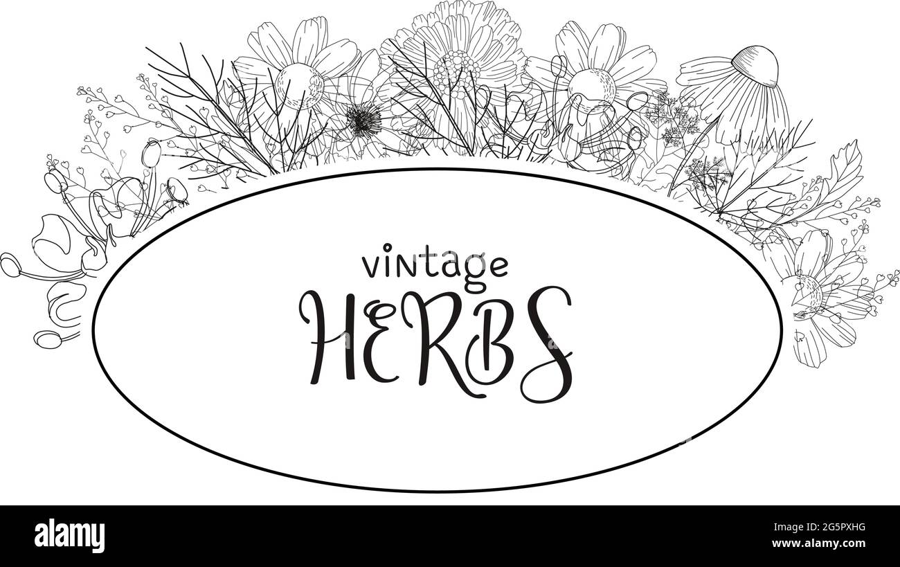 Vorlage Karte mit Heilkräutern. vektor-Vorlage. Wilde Heilpflanzen. Retro-Blumen. Abbildung der Handzeichnung. Gravurstil. Botanisch Stock Vektor