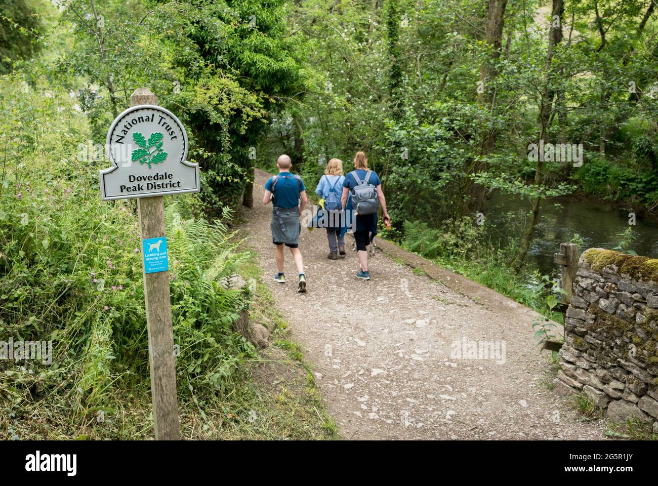 Schild des National Trust am Anfang des Dovedale Trails, Peak District, England. Stockfoto