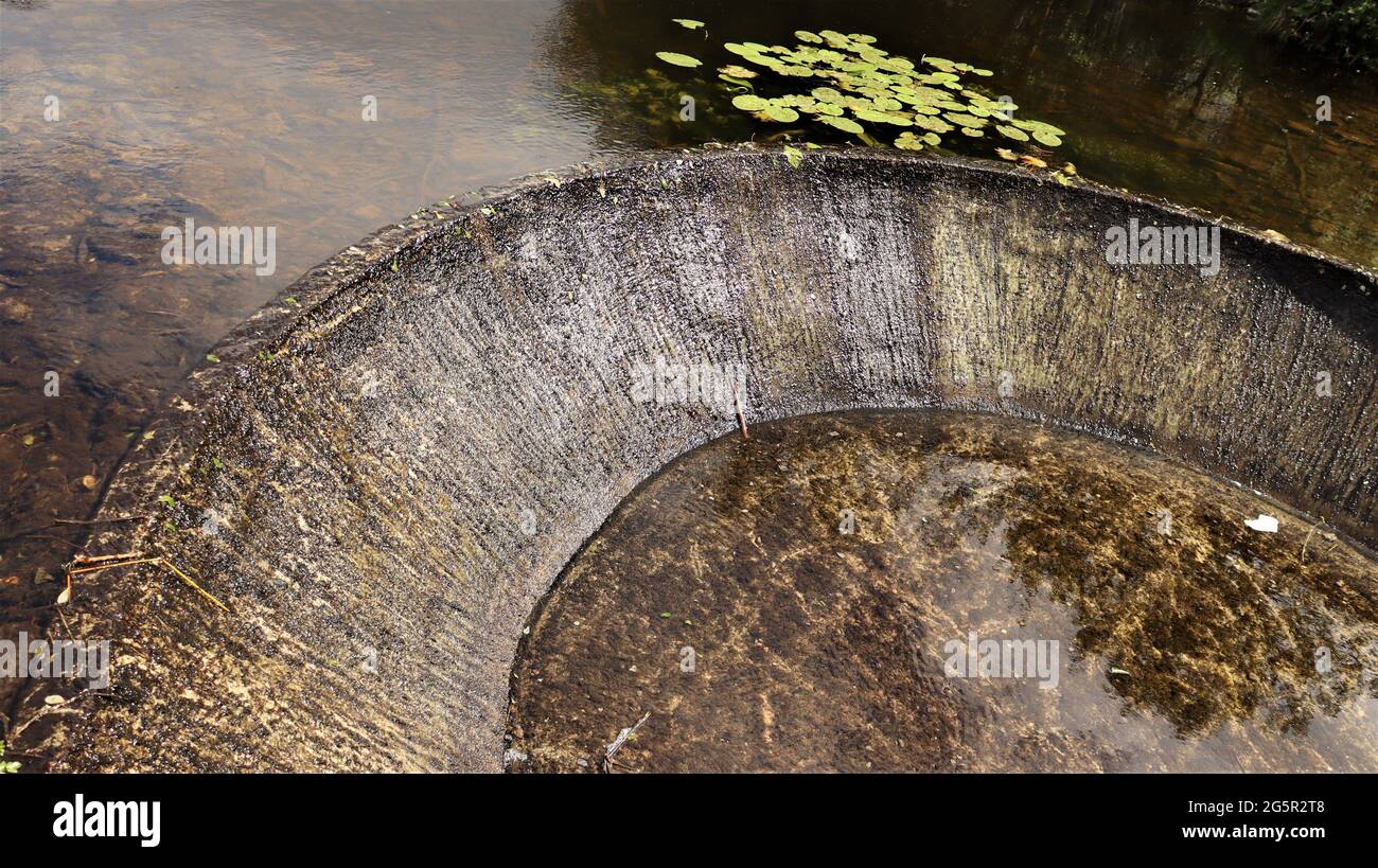 Stillleben Fotografie, Naturleben, ruhiges Leben, Bäume Blumen Wälder Stockfoto