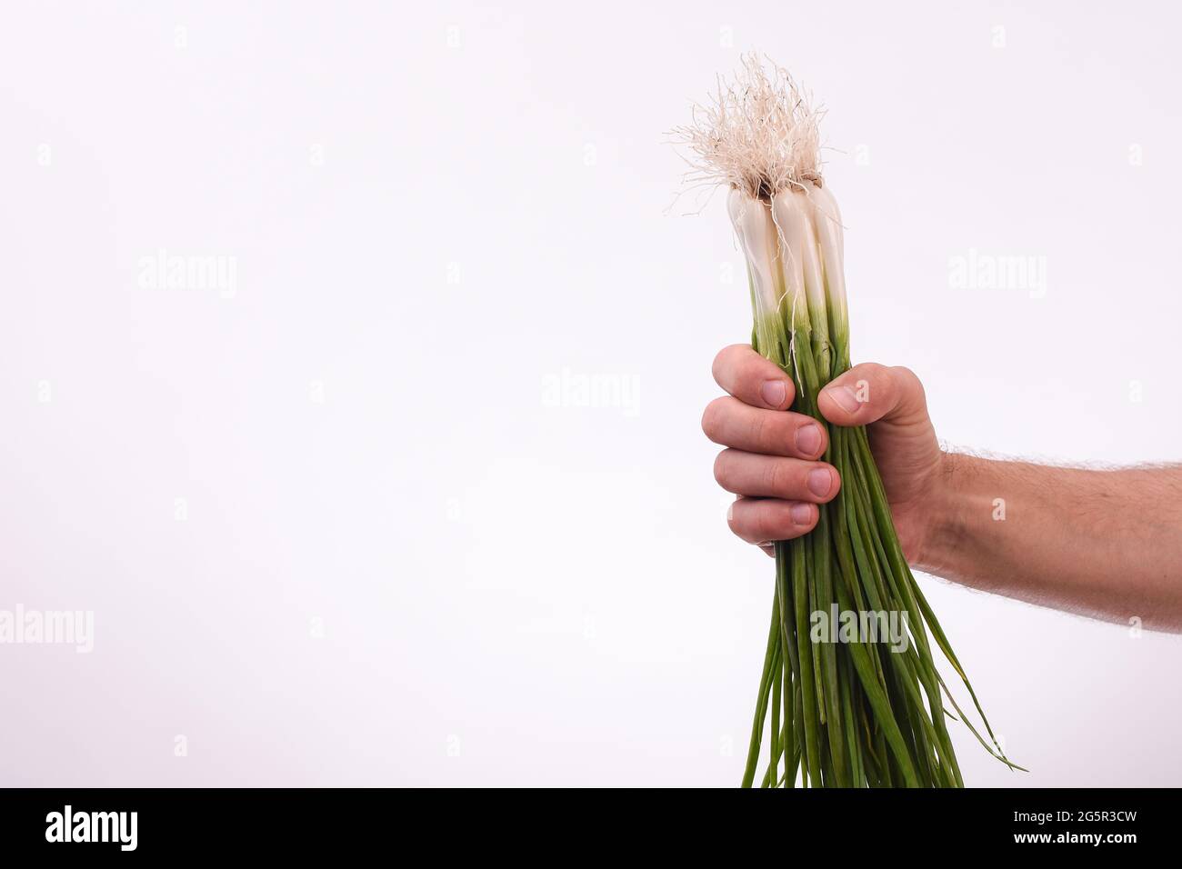 Ein Bund grüner Zwiebeln in der Hand eines Mannes Stockfoto