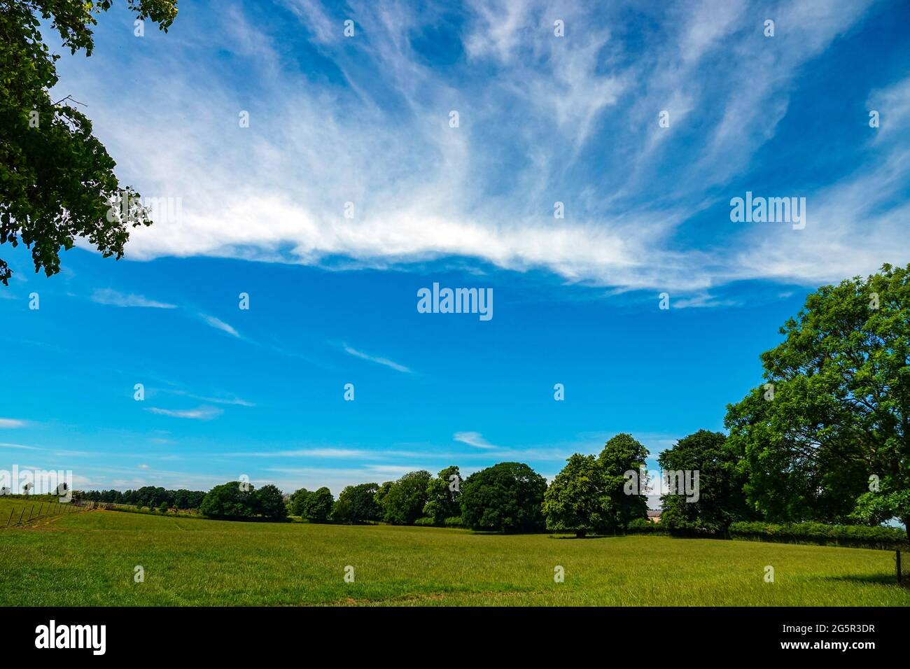 Cirrus Wolken, bei Bedale. Sommerwetter, auf dem Land, North Yorkshire, Großbritannien Stockfoto