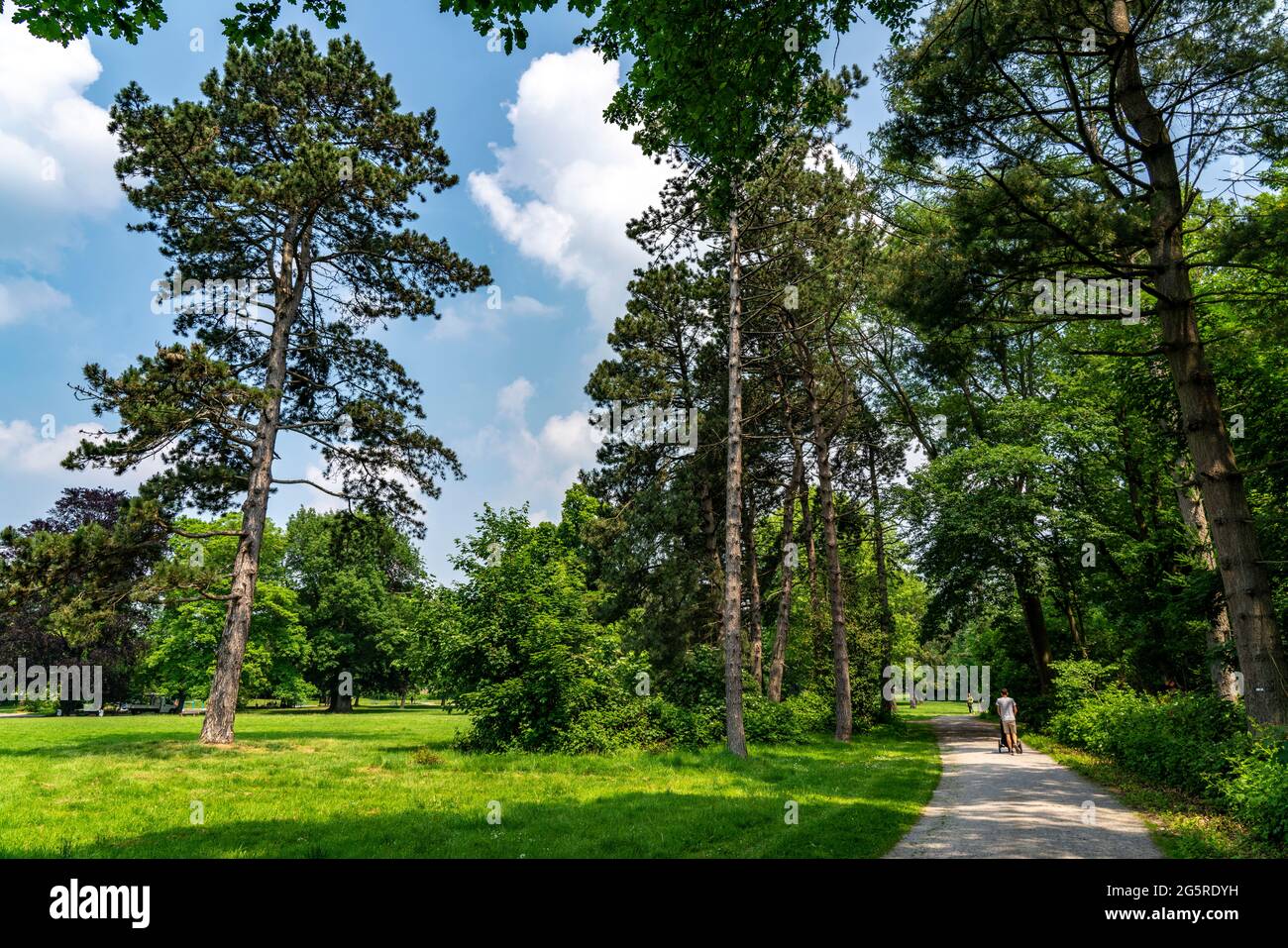 Stadtpark Witthausbusch, Mülheim an der Ruhr, NRW, Deutschland
