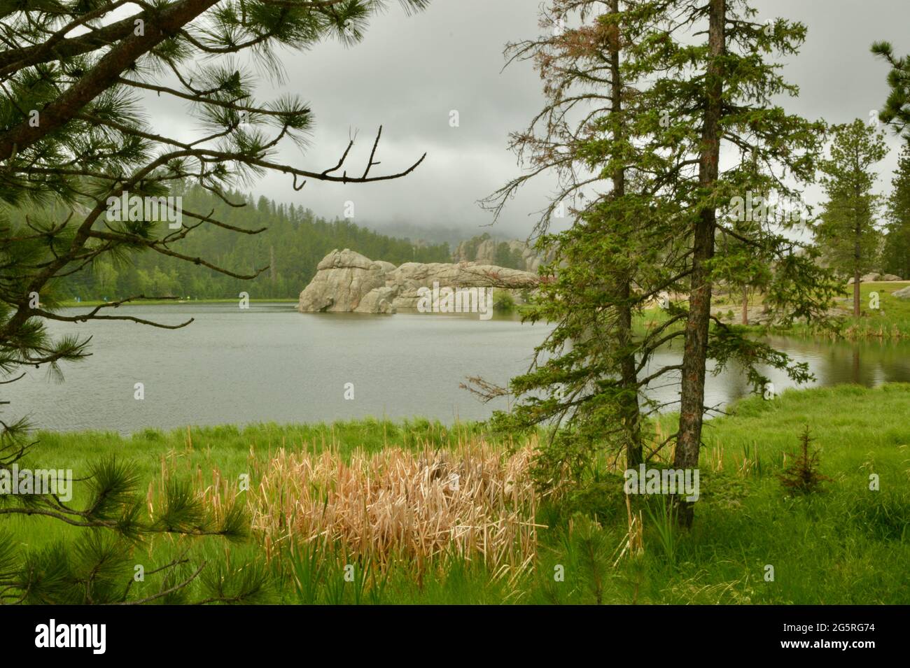 Regentag Wandern rund um den Sylvan Lake und die Felsformationen im Custer State Park, Custer, South Dakota, USA Stockfoto