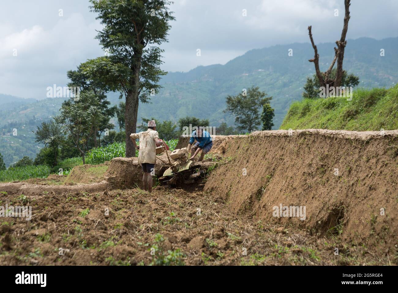 Kathmandu, Nepal. Juni 2021. Nepalesische Bauern bringen einen Pflug auf das Feld. Nepalesische Bauern feiern den National Paddy Day, der den Beginn der jährlichen Reispflanzsaison markiert. (Foto von Bivas Shrestha/SOPA Images/Sipa USA) Quelle: SIPA USA/Alamy Live News Stockfoto