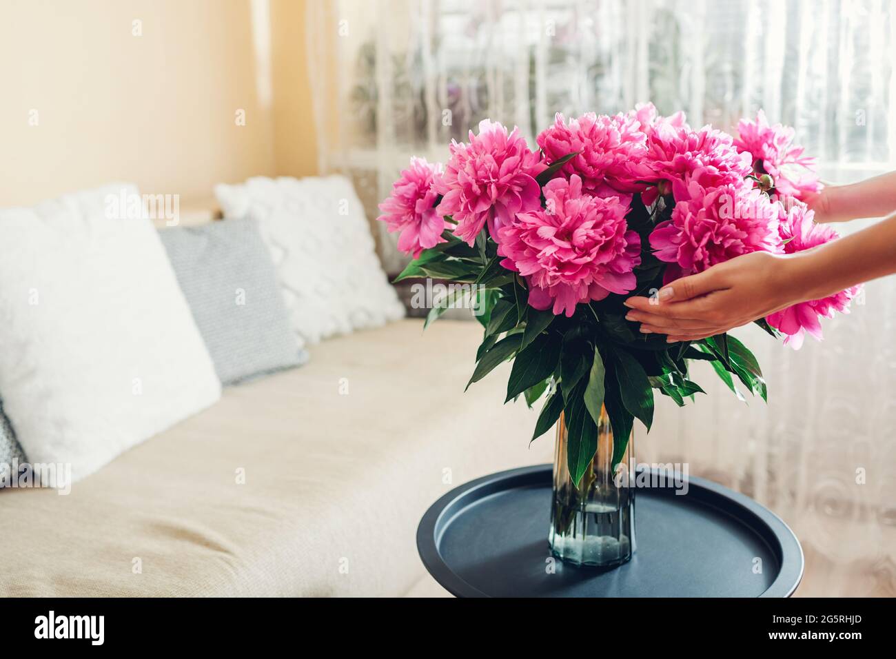 Frau, die zu Hause einen Blumenstrauß mit Pfingstrosen in der Vase hält. Rosa Blüten auf Couchtisch gelegt. Innenausstattung und Einrichtung Stockfoto