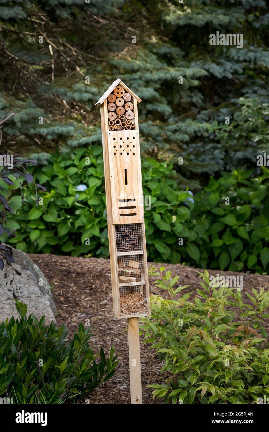 Insektenbox zieht nützliche Insekten in einen Garten. Stockfoto