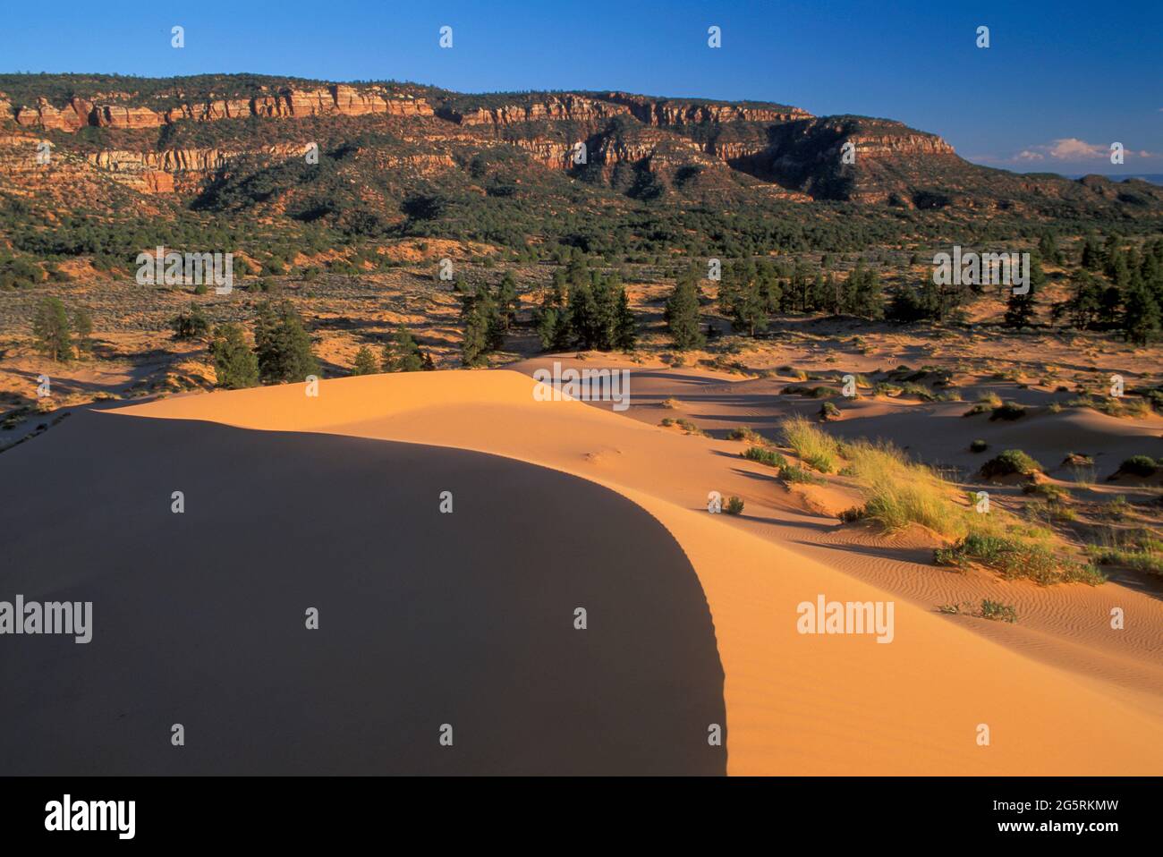 USA, Southwest, Colorado Plateau, Utah, Kane County, Coral Pink Sand Dunes State Park, Stockfoto