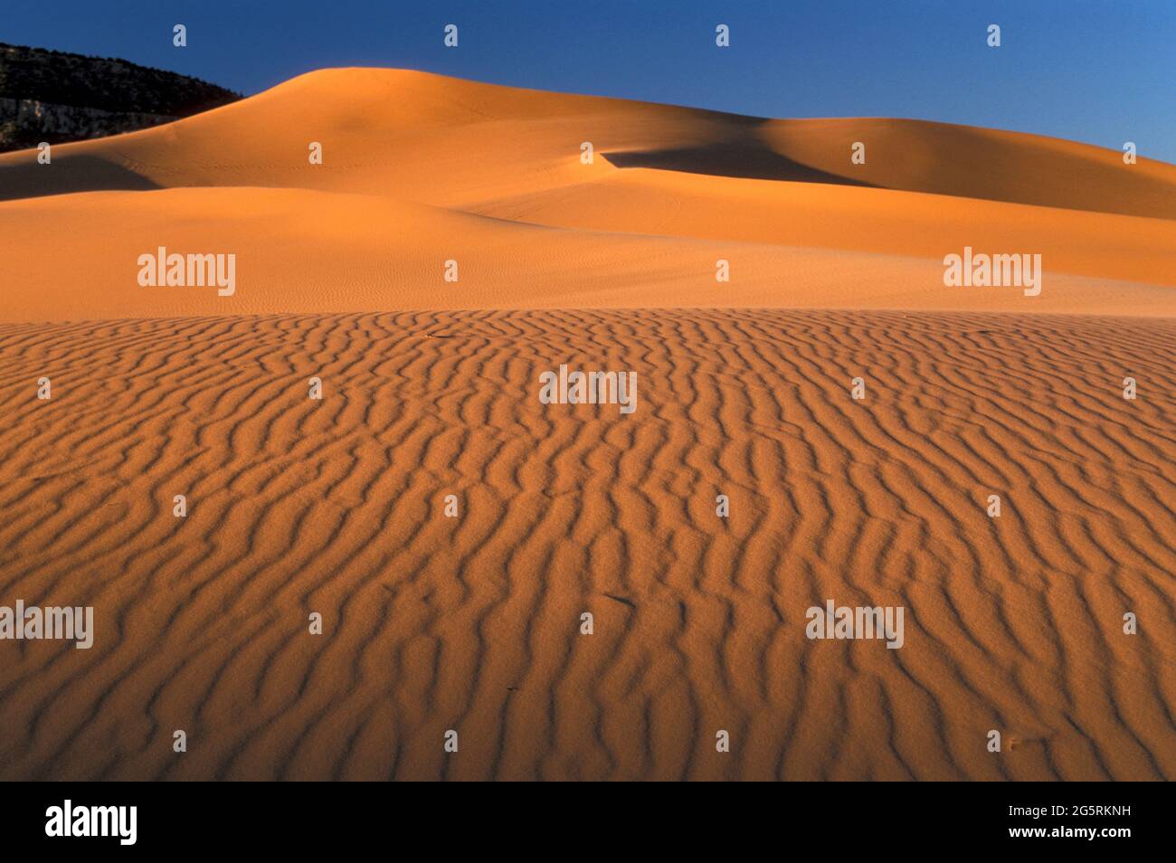 USA, Southwest, Colorado Plateau, Utah, Kane County, Coral Pink Sand Dunes State Park, Stockfoto