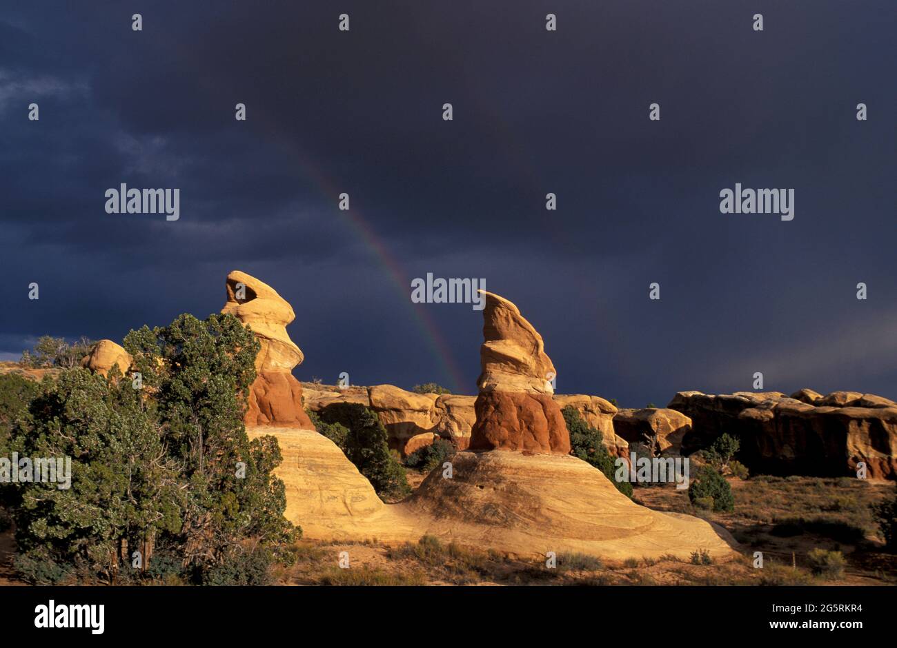 USA, Southwest, Colorado Plateau, Utah, Grand Staircase Escalante, National Monument, Loch in der Felsenstraße, Devils Garden, Stockfoto