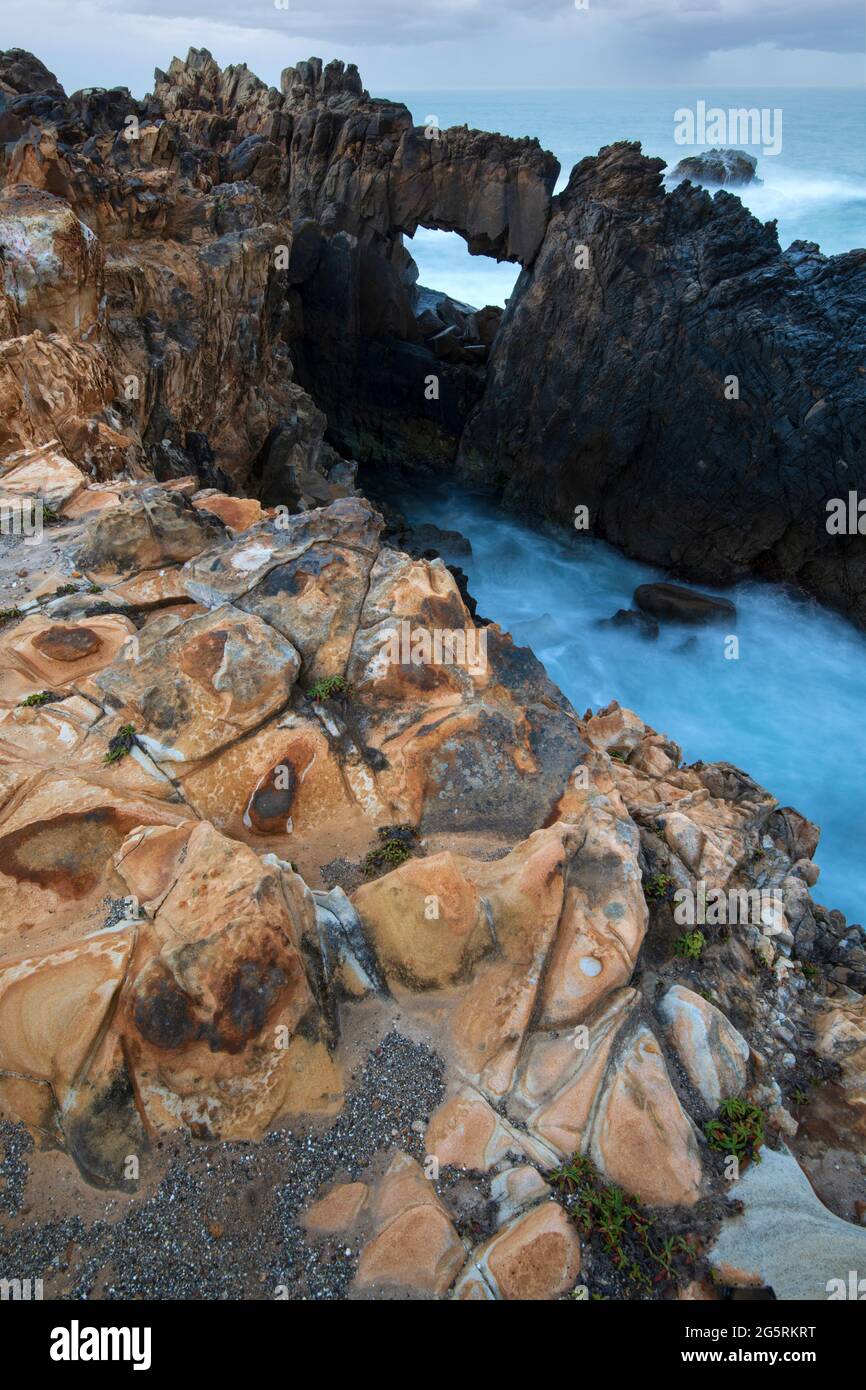 USA, Kalifornien, Nordküste, Sonoma County, Salt Point State Park Stockfoto