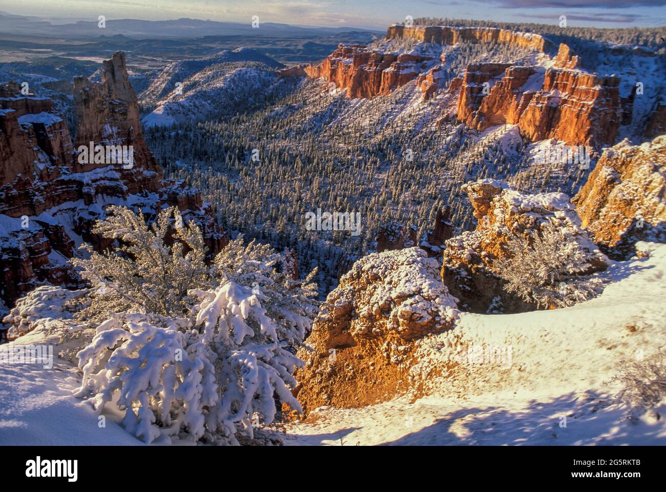 USA, Southwest, Colorado Plateau, Utah, Bryce National Park, Stockfoto