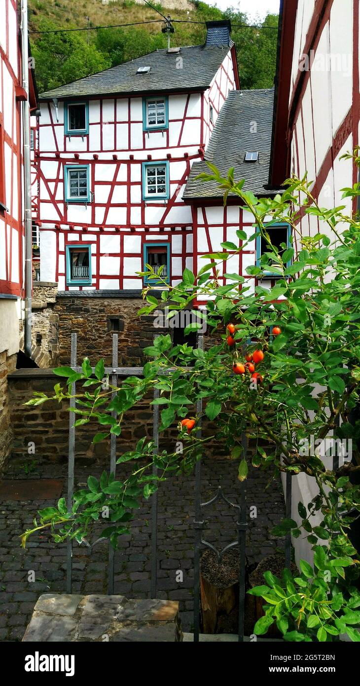 Hübsche Fachwerkhäuser im kleinen Dorf Monreal. Fachwerkhäuser im schönen Dorf Monreal, Eifel, Deutschland. Stockfoto