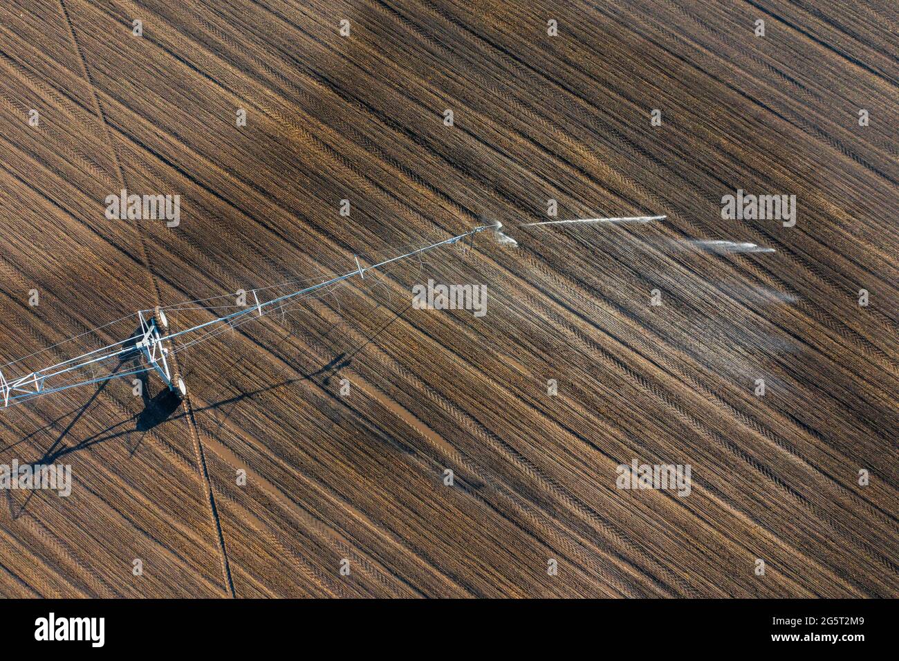 Luftaufnahme über das zentrale Schwenk-Bewässerungssystem, das Kulturen sprüht. Farm-Konzept, moderne Bewässerungsausrüstung, Landwirtschaft Textur. Stockfoto