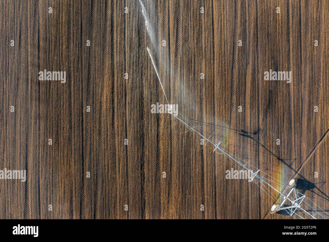 Luftaufnahme über das zentrale Schwenk-Bewässerungssystem, das Kulturen sprüht. Farm-Konzept, moderne Bewässerungsausrüstung, Landwirtschaft Textur. Stockfoto