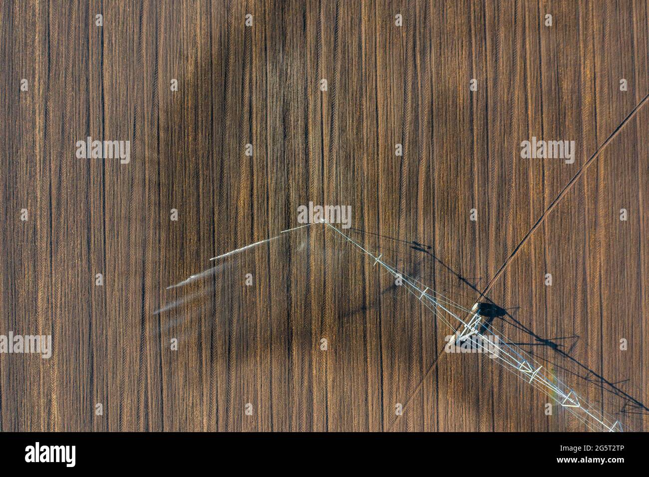 Luftaufnahme über das zentrale Schwenk-Bewässerungssystem, das Kulturen sprüht. Farm-Konzept, moderne Bewässerungsausrüstung, Landwirtschaft Textur. Stockfoto