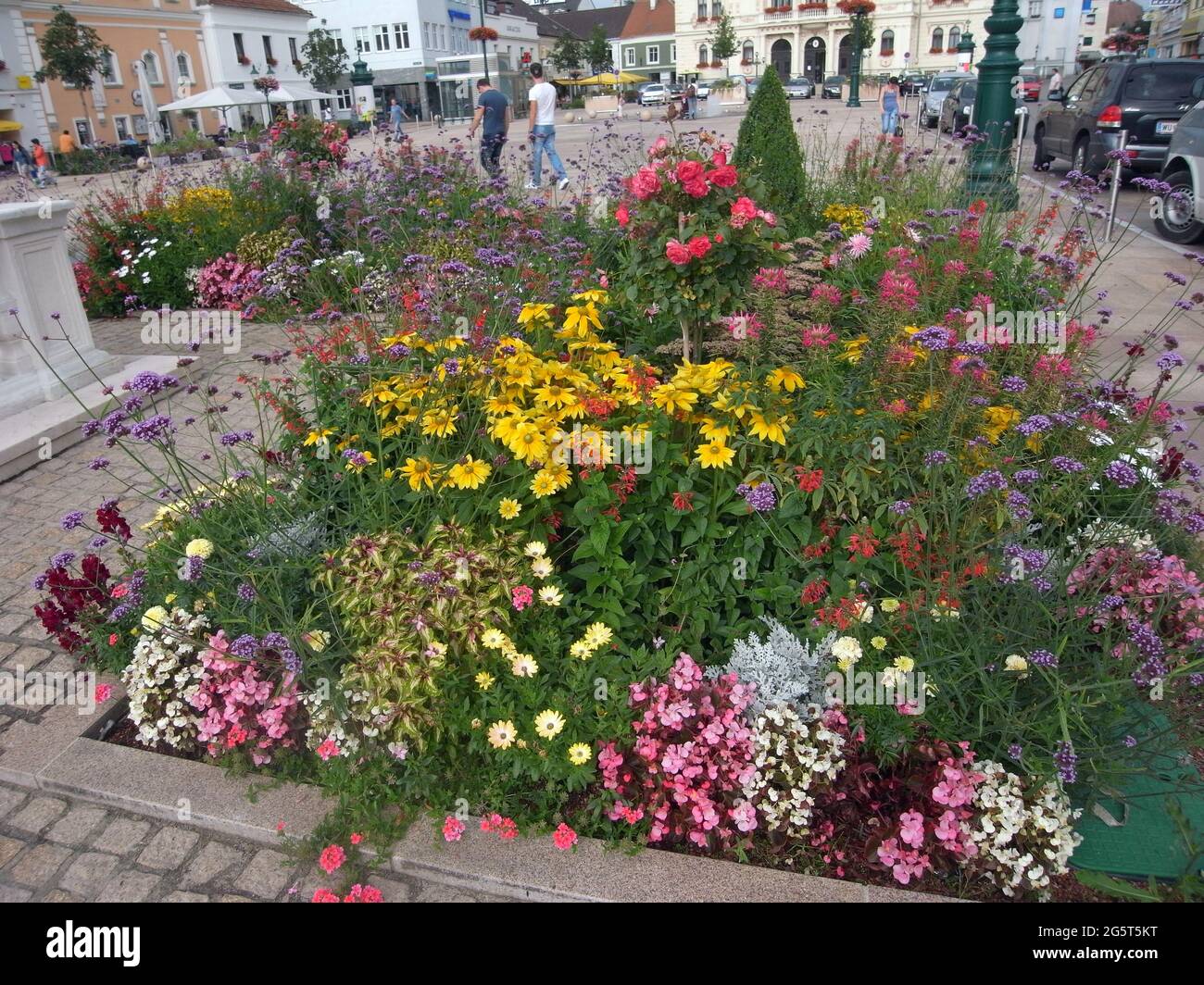 Üppig blühendes Blumenbeet auf einem Merketplatz einer Kleinstadt, das die biologische Vielfalt der Insekten in der Stadt, Deutschland, fördert Stockfoto