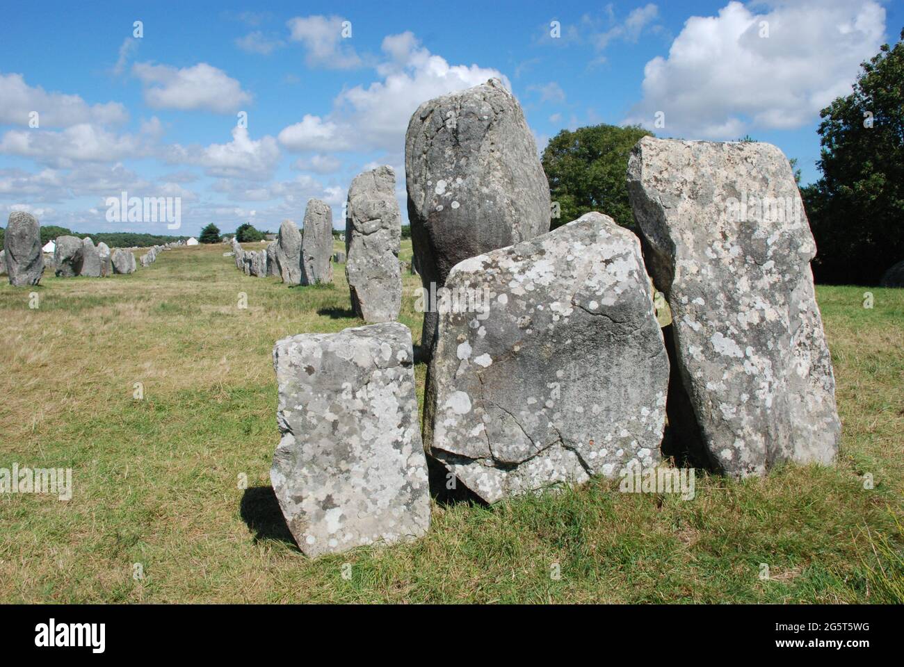 Stehende Megalithen in der Nähe von Carnac, Frankreich, Bretagne, Carnac Stockfoto