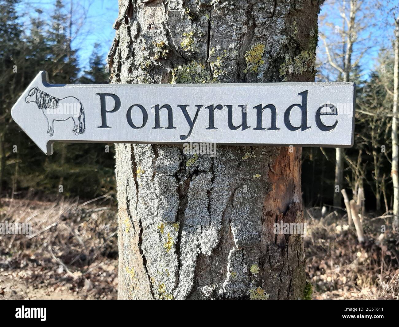 Ponyreiten für Kinder im Wald - Wegweiser auf Baumstamm, Deutschland Stockfoto