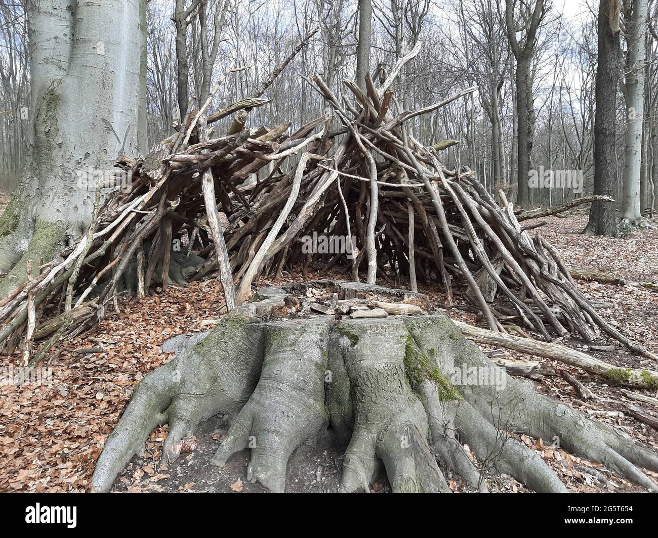 Naturnaher Spielplatz im Wald - Walderlebnis, Deutschland Stockfoto