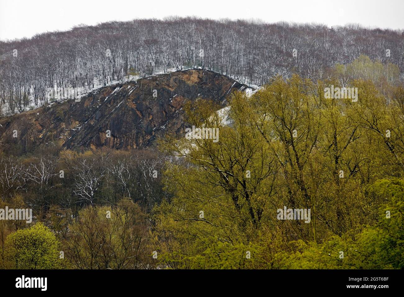 Wartenberg im April mit grünen Bäumen und Schnee, Deutschland, Nordrhein-Westfalen, Ruhrgebiet, Witten Stockfoto