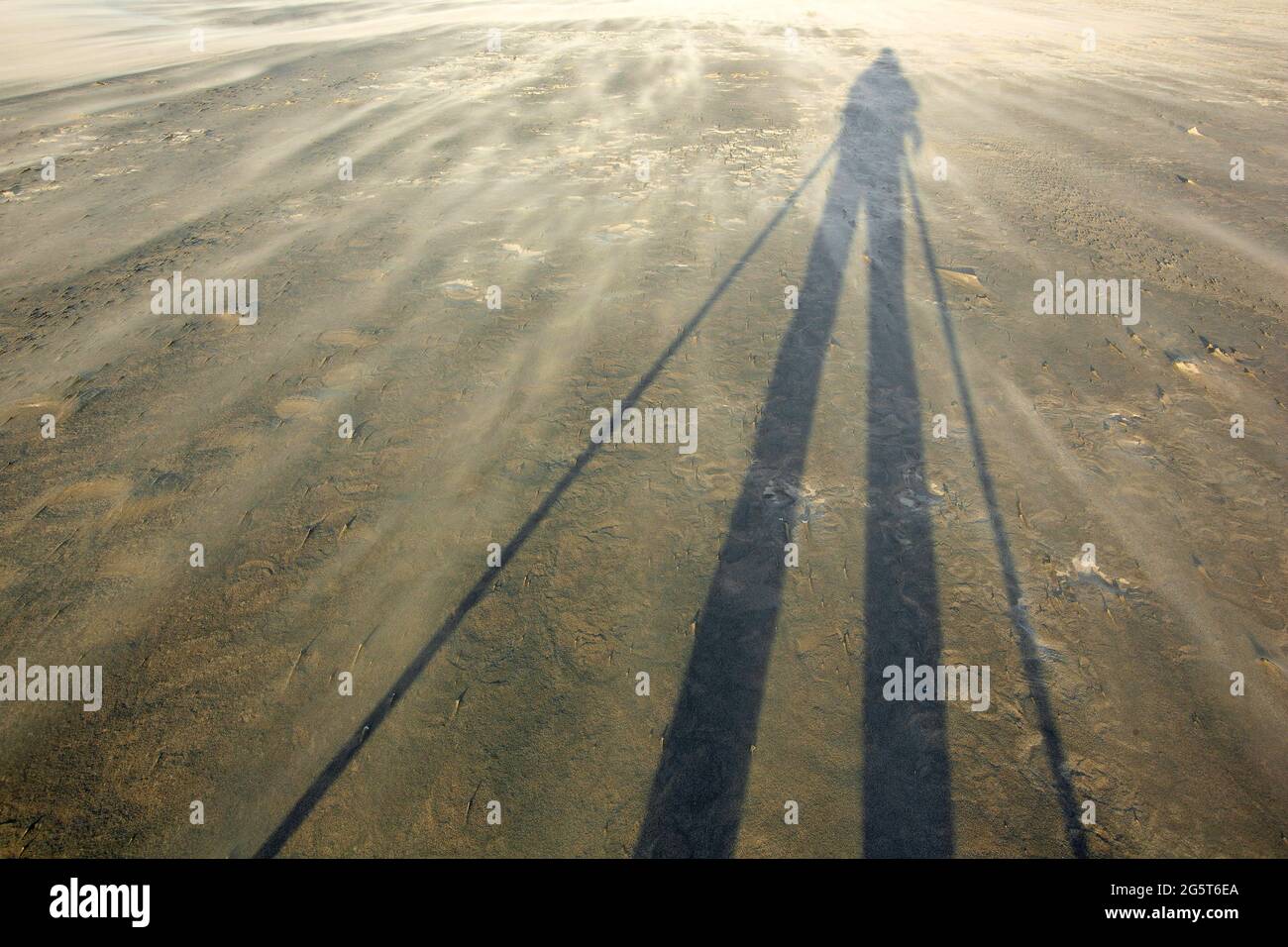 Schatten eines Fotografen bei der Arbeit am Strand an der Nordsee, Belgien, Westflandern, De Panne Stockfoto