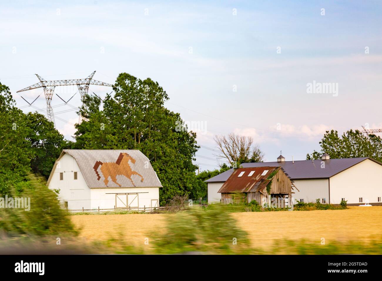 Ein Strompylon über einer Scheune mit einem Pferdemoss in Gürtelrose neben einem baufälligen Nebengebäude und einer neuen Scheune auf einer Farm in der Nähe von Plum Tree, Indiana, USA. Stockfoto