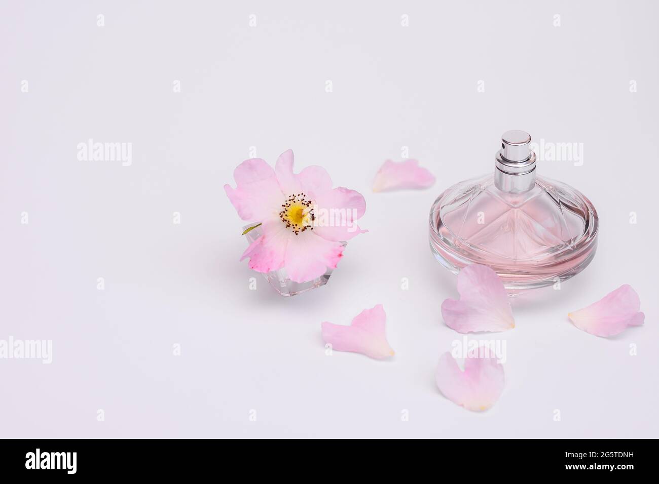 Blumiger Duft in einer Flasche Damenparfüm. Stockfoto