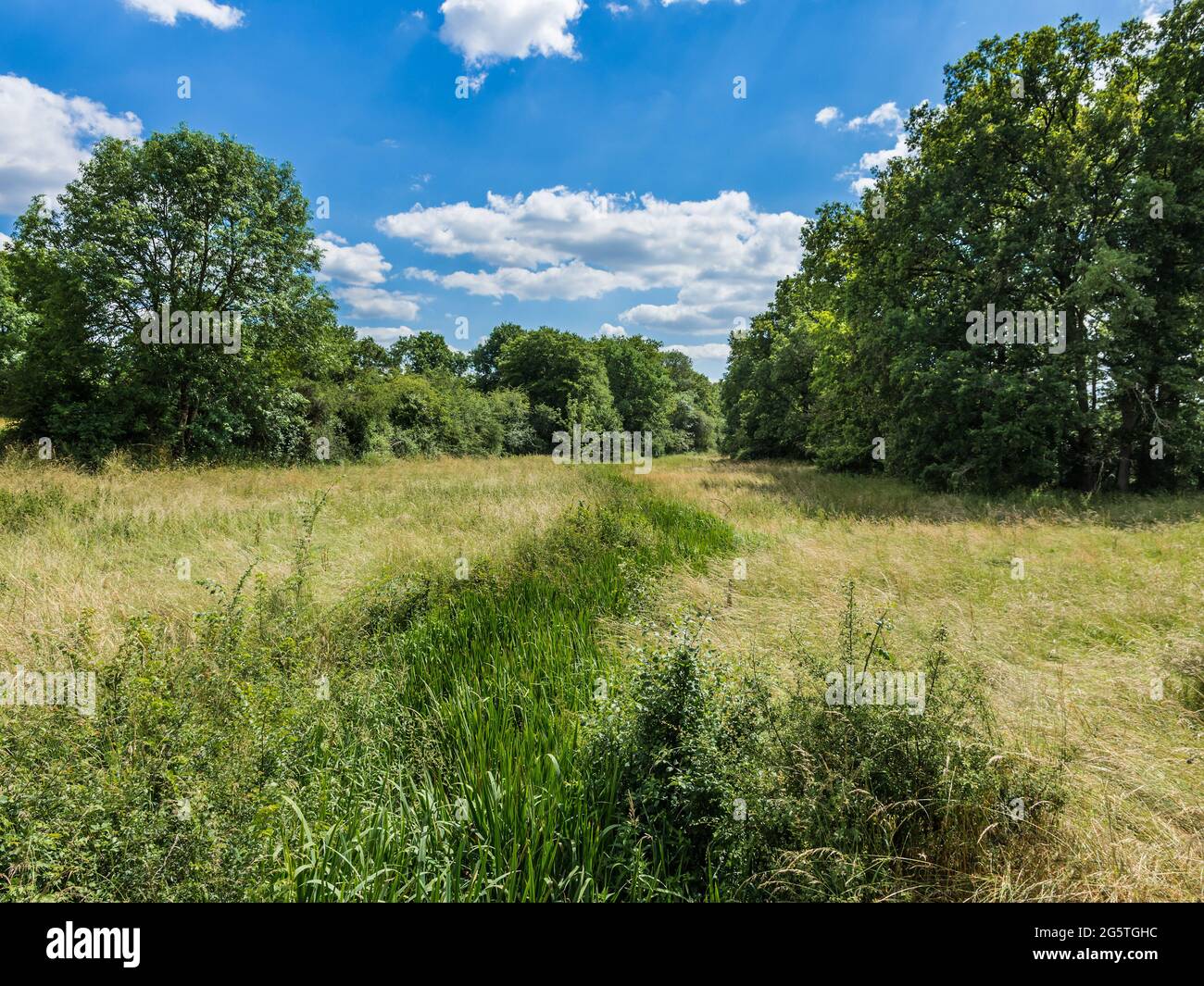 Quelle des Flusses Claise, Indre (36), Frankreich. Stockfoto