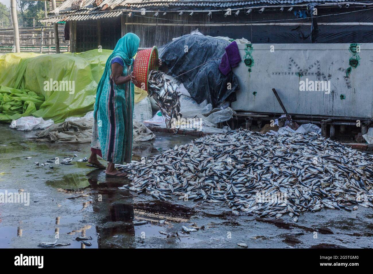 Bangladesch, Chittagong: Trockenes Fischfeld am Ufer des Karnaphuli-Flusses, Chittagong, Bangladesch, am 4. Dezember 2020. Stockfoto