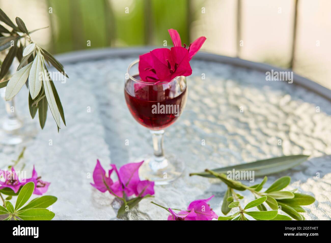 Rosa tropische Blumen und ein Glas Rotwein. Schöner, farbenfroher Sommerhintergrund. Dekorative rosa Blüten von Bougainvillea in einem Glas. Festliches Holid Stockfoto