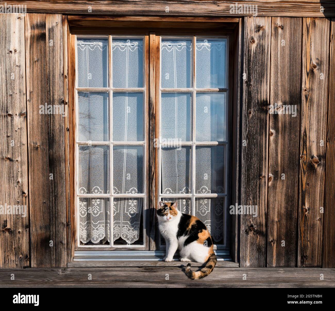 Bauernhaus im Ried Zollbrück am 07.01.21. Stockfoto
