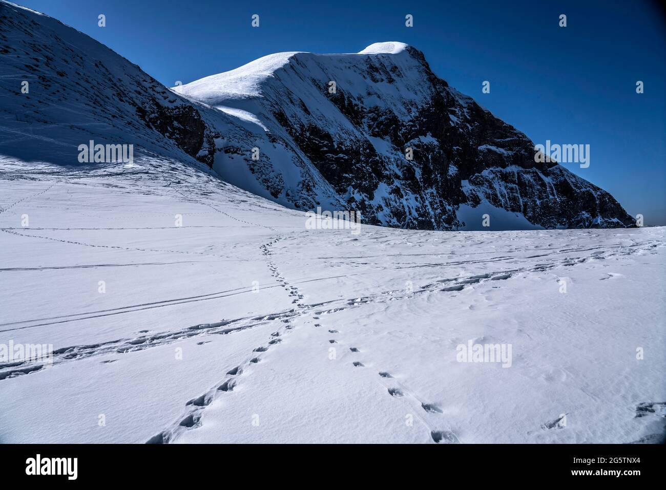 Auf dem Schäfihubel ob der Lobhornhütte, ob Sulwald-Isenfluh, Edelstein. Lauterbrunnen, am 21.02.19. Stockfoto