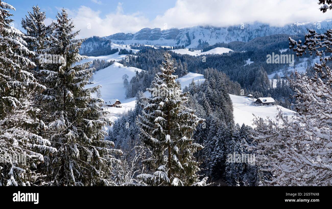 Im 'Bühl' / Aussereriz, Juwel. Eriz, mit Blick auf den Hohgant am 29.01.19. Stockfoto