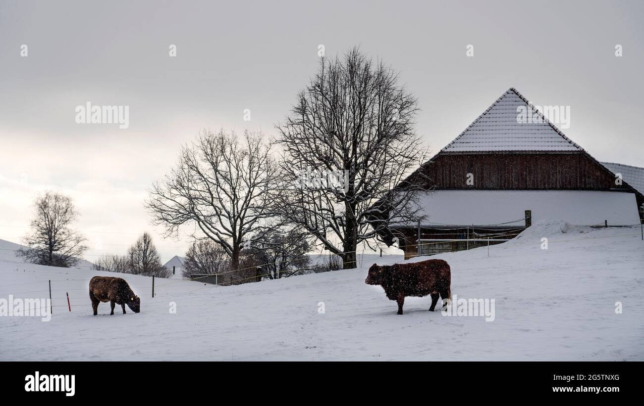 Sunnegg Gemeinde Walkringen am 29.01.19. Stockfoto