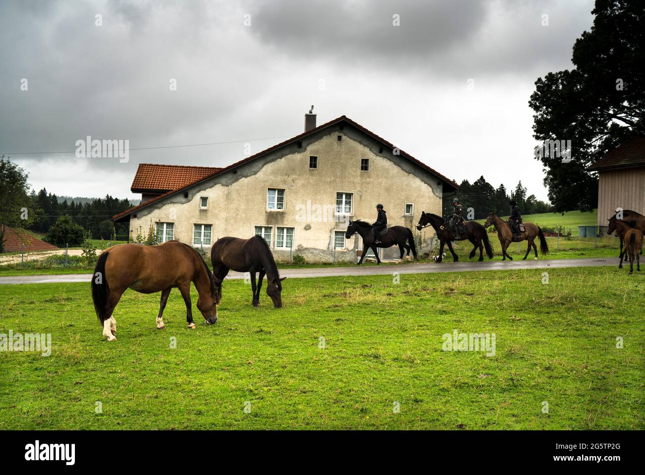 Le Roselet in der Perle. Muriaux am 15.08.19. Stockfoto