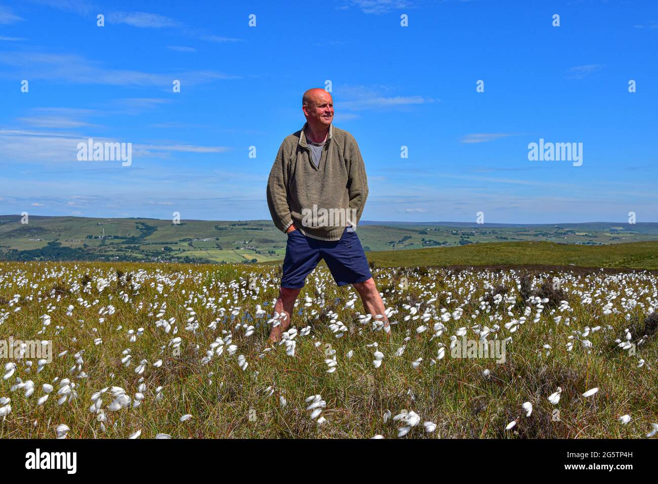 Die Freuden von Cotton Grass auf den Pennines, Upper Calder Valley, Calderdale, West Yorkshire Stockfoto