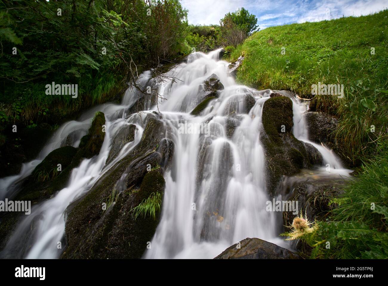 Wildbach über Plaun da Lej in der Gemeinde Sils im Engadin/Segl am 11.07.17. Stockfoto