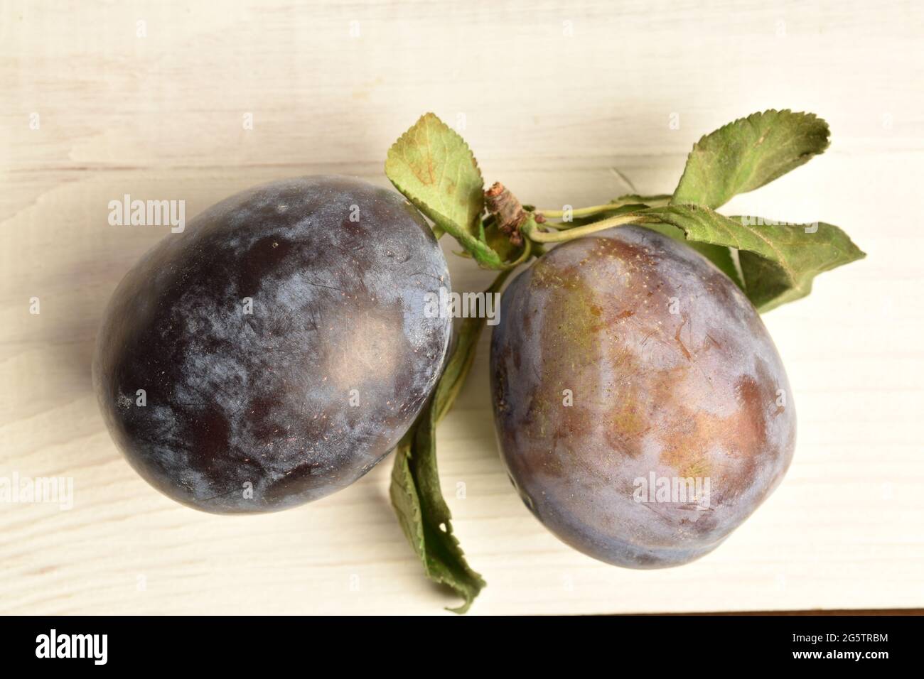 Zwei schwarze Bio-Pflaumen, Nahaufnahme, auf einem weißen Holztisch, Draufsicht. Stockfoto