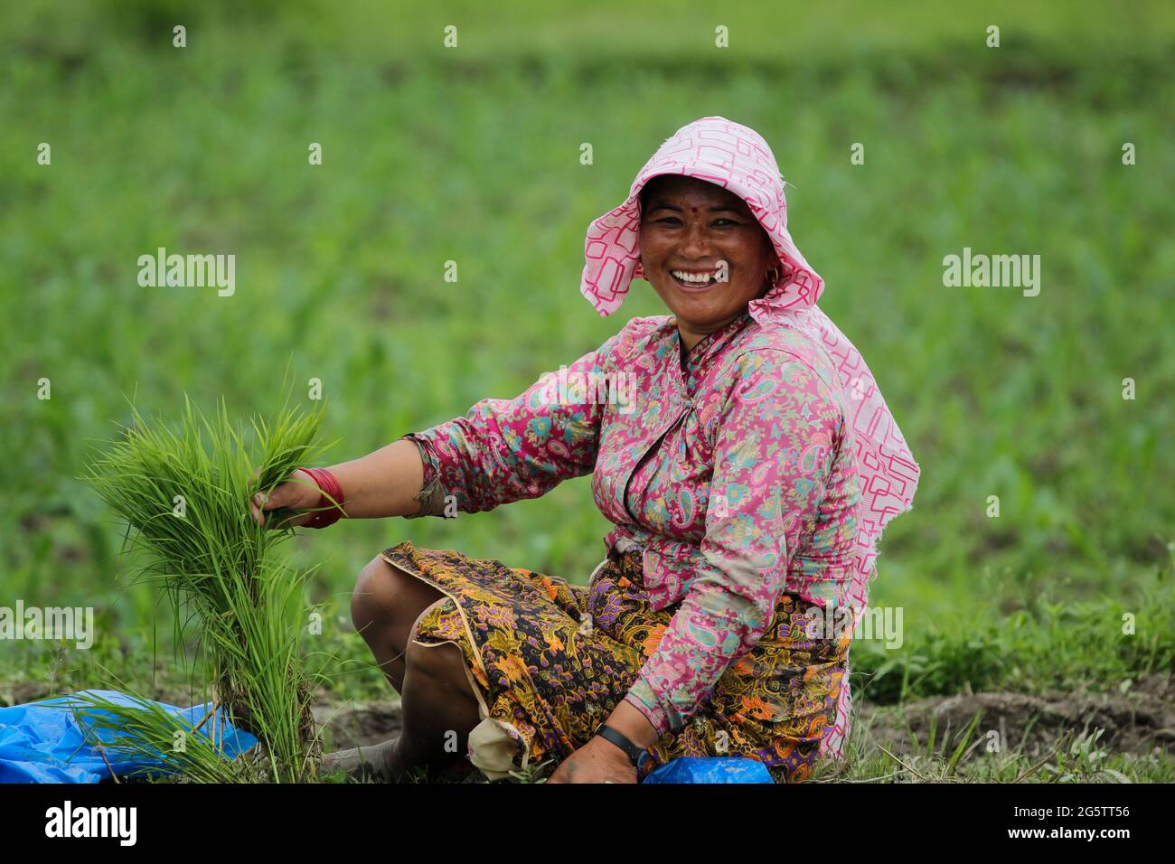 Lalitpur, Nepal. 30. Juni 2021. Bauern, die in Reisfeldern arbeiten, Pflanzen in Lalitpur, Nepal, Reisproben an und spritzen sich schlammiges Wasser aus Anlass des „National Paddy Day“, der auch als Asar Pandra bekannt ist. Die Menschen versammeln sich an diesem Tag auf dem Feld, um Reisproben mit großem Eifer zu Pflanzen und auch Dahi Chyura (Joghurt und geschlagener Reis) als besondere Mahlzeit des Tages zu genießen. (Foto: Abhishek Maharjan/Pacific Press) Quelle: Pacific Press Media Production Corp./Alamy Live News Stockfoto