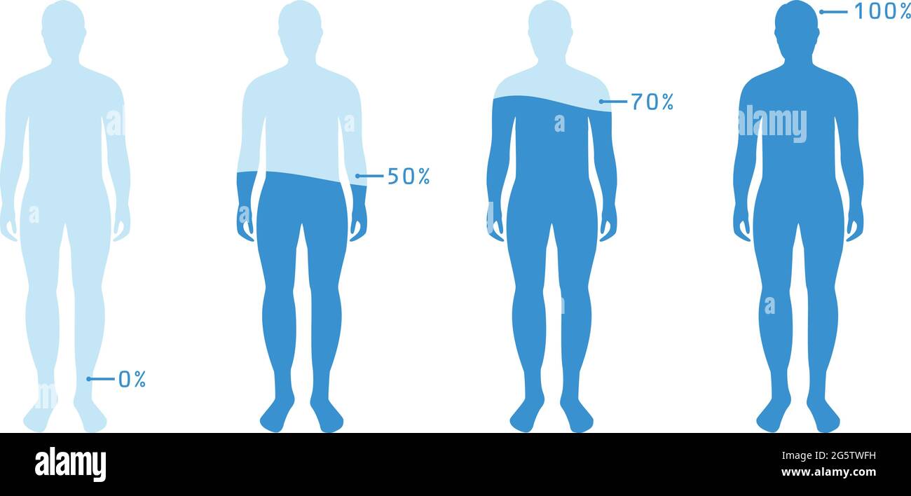 Infografik zeigt Wasser Prozentsatz in den menschlichen Körper. Vector Illustration Wasserhaushalt. Stock Vektor