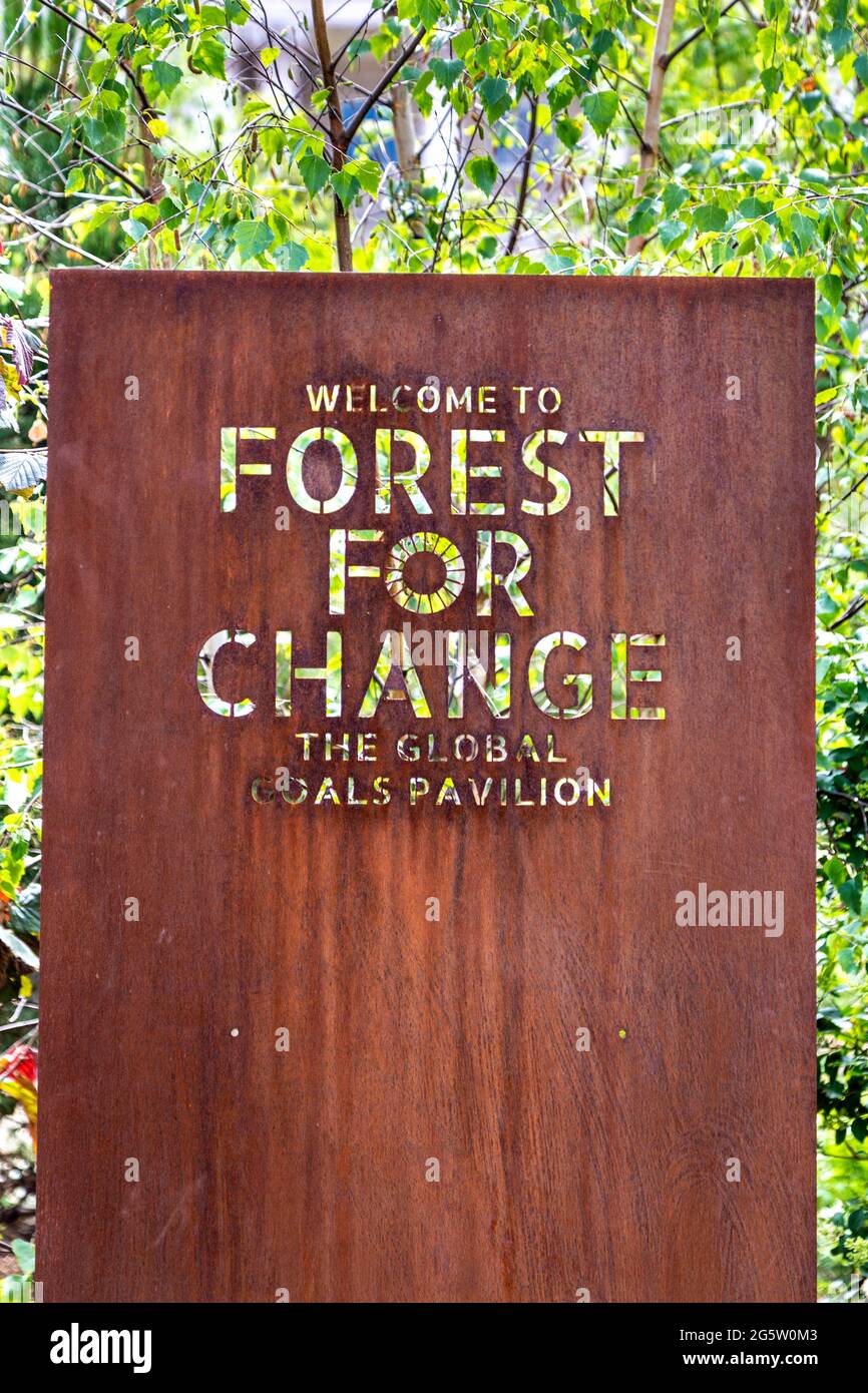 Ausstellung „Forest for Change“ im Innenhof des Somerset House, London, Großbritannien Stockfoto