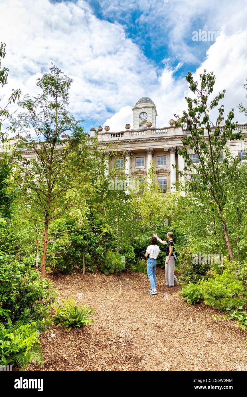 Ausstellung „Forest for Change“ im Innenhof des Somerset House, London, Großbritannien Stockfoto