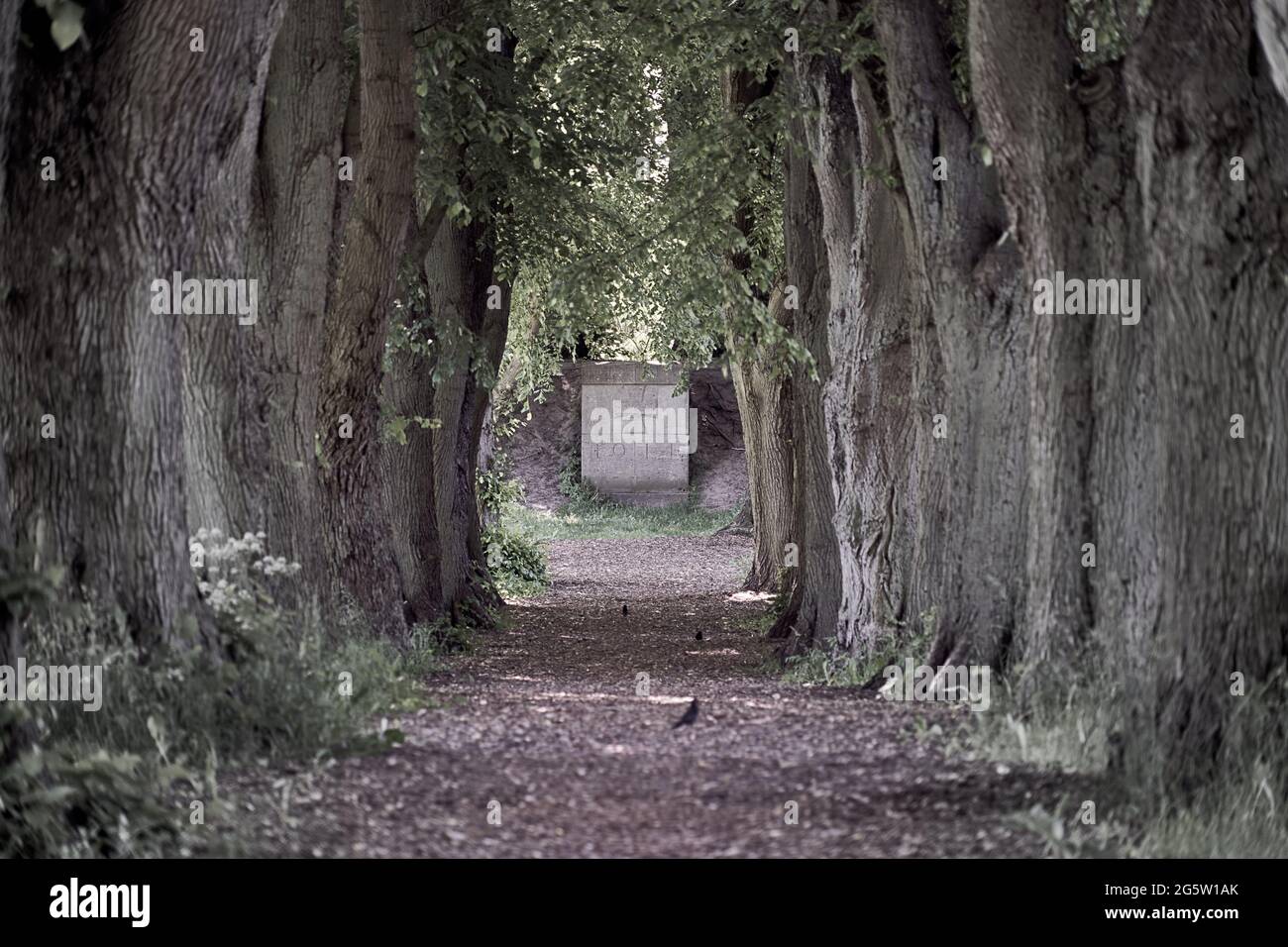 Zentrale Perspektive durch alte Bäume auf einem Gedenkstein, der an die Toten der Weltkriege in Europa erinnert, in der Nähe von Celle, Niedersachsen Stockfoto