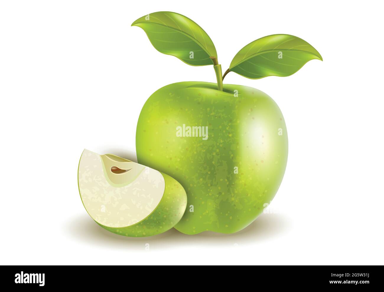 Reif grüner Apfel mit Blättern Stock Vektor