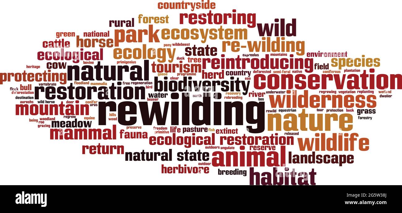 Rewilding Word Cloud-Konzept. Collage aus Worten über die Wildnis. Vektorgrafik Stock Vektor