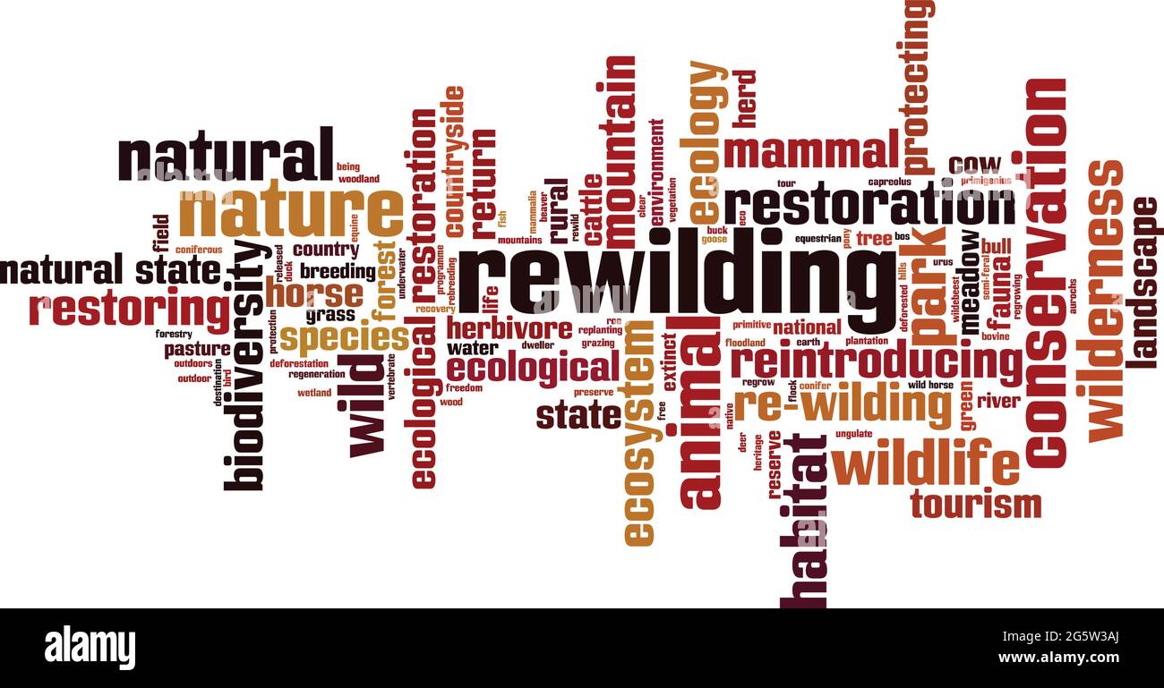 Rewilding Word Cloud-Konzept. Collage aus Worten über die Wildnis. Vektorgrafik Stock Vektor