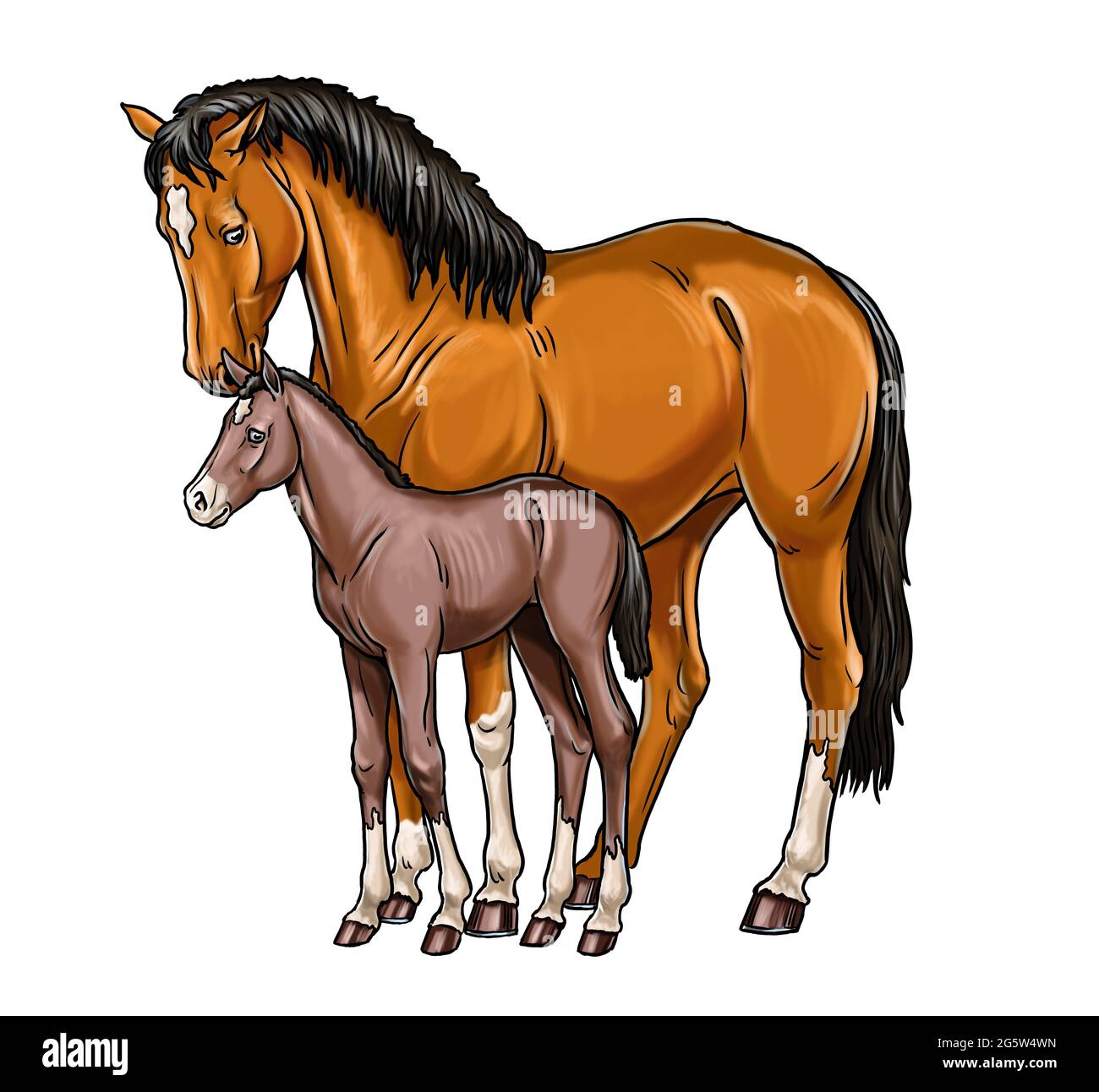 Mare mit dem Fohlen. Cartoon mit Pferden. Zeichnen mit Pferd. Vorlage für Kinder zu malen. Stockfoto